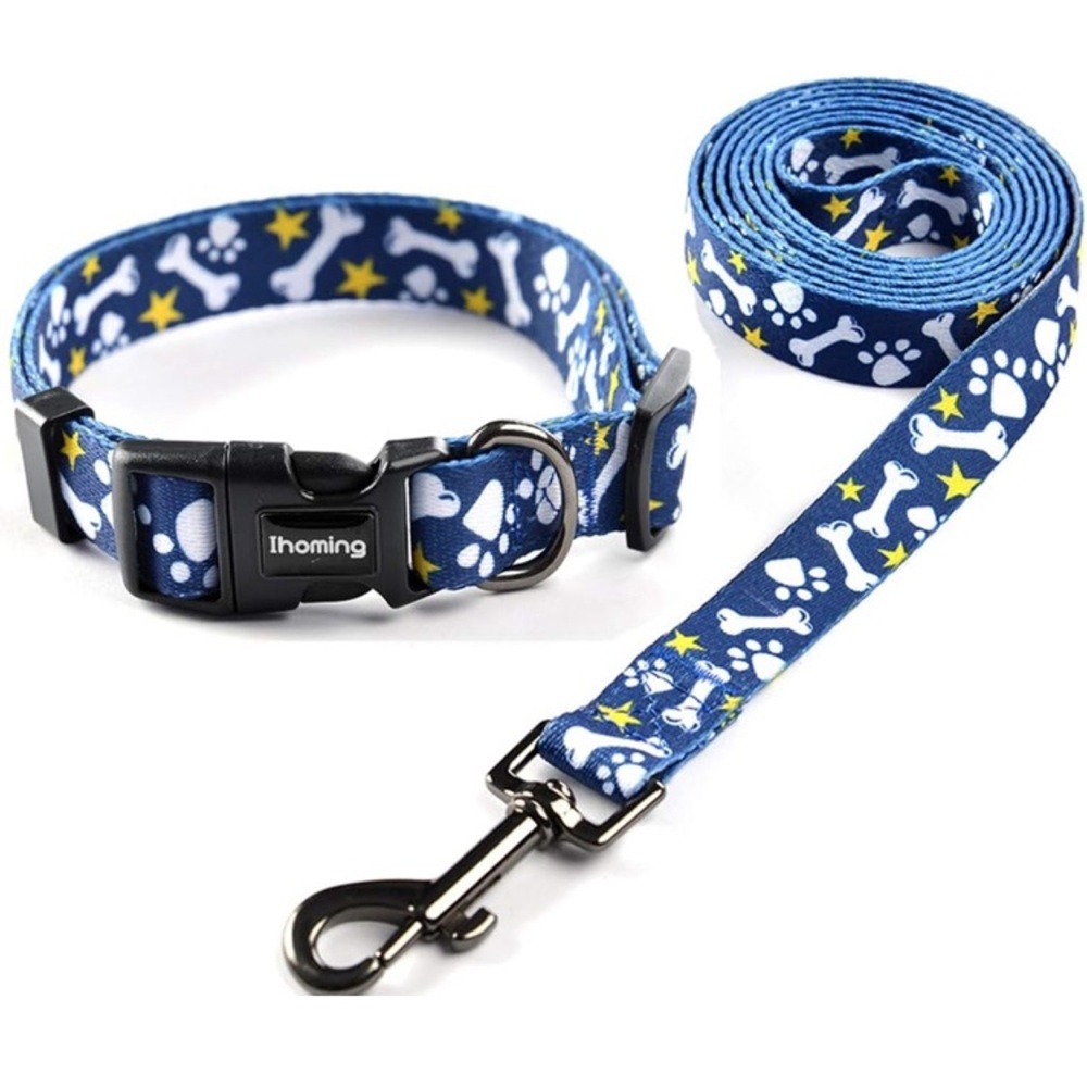 Dukes Dog leash and collar